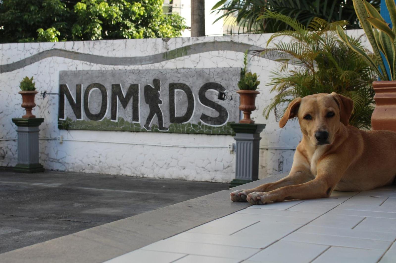 Nomads Hostel Multicultural & Coworking Salvador Buitenkant foto